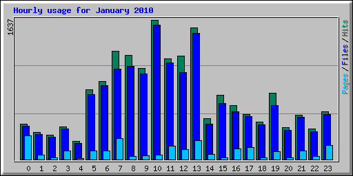 Hourly usage for January 2010