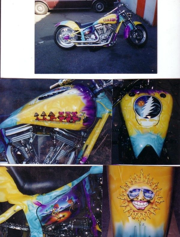 Dancing Bear Bike