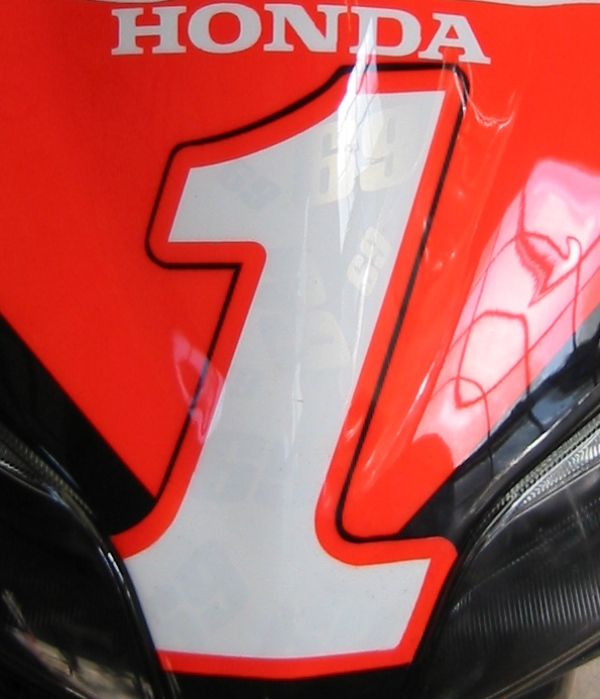 Hayden Repsol Replica